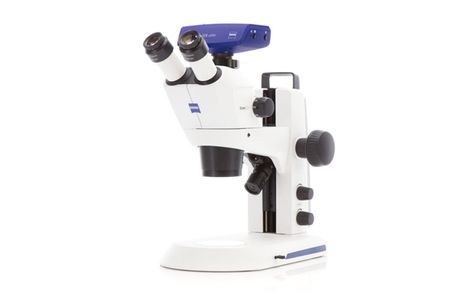 ZEISS Stemi 305: Compact stereo microscope with integrated 5:1 zoom